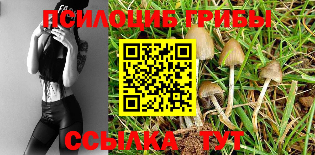 Галлюциногенные грибы прущие грибы  Галлюциногенные грибы Cubensis  Орёл  Вход с VPN 